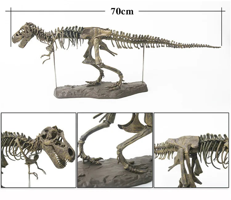 DIY T Rex Dinosaur Skeleton Toy T Rex Dinosaur Toys