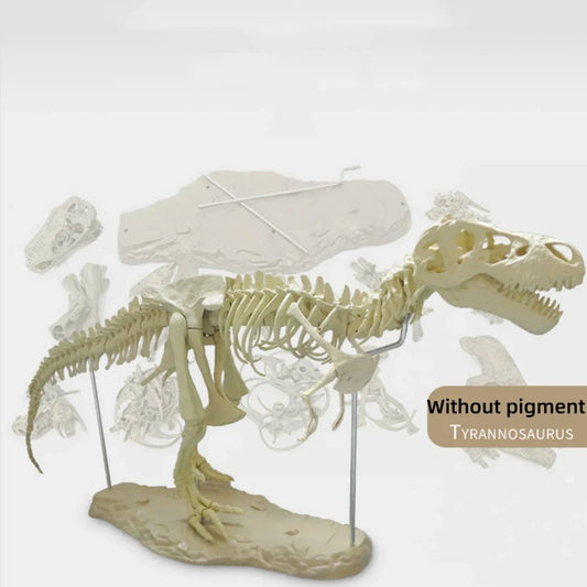 DIY T Rex Dinosaur Skeleton Toy T Rex Dinosaur Toys