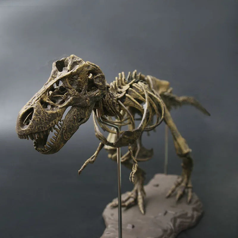DIY T Rex Dinosaur Skeleton Toy T Rex Dinosaur Toys