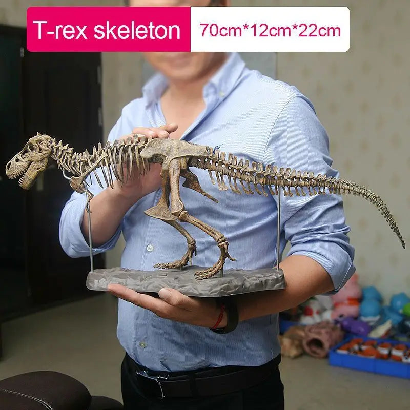 DIY T Rex Dinosaur Skeleton Toy T Rex Dinosaur Toys